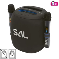 Kép 1/2 - SAL PARCUBE boombox, 100 W, 2db vezeték nélküli mikrofon, 5db hangszóró,