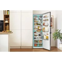 Kép 4/5 - GORENJE R619CSXL6 hűtőszekrény -185/60cm- 384 liter