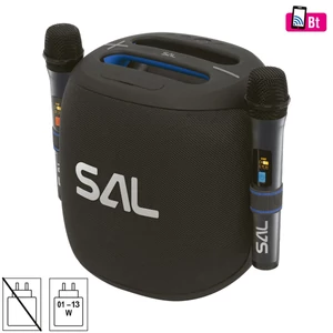 SAL PARCUBE boombox, 100 W, 2db vezeték nélküli mikrofon, 5db hangszóró,