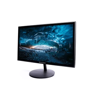 DINARSIN DM-P185 19" LED monitor