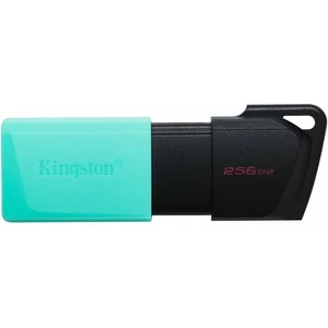 KINGSTON DTXM 256GB  USB3.2  Pen Drive