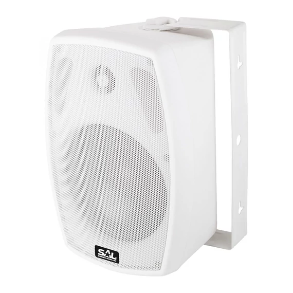 SAL BXB 100/8  2 utas hangdoboz » 2in1 40W/100V  60W/8ohm