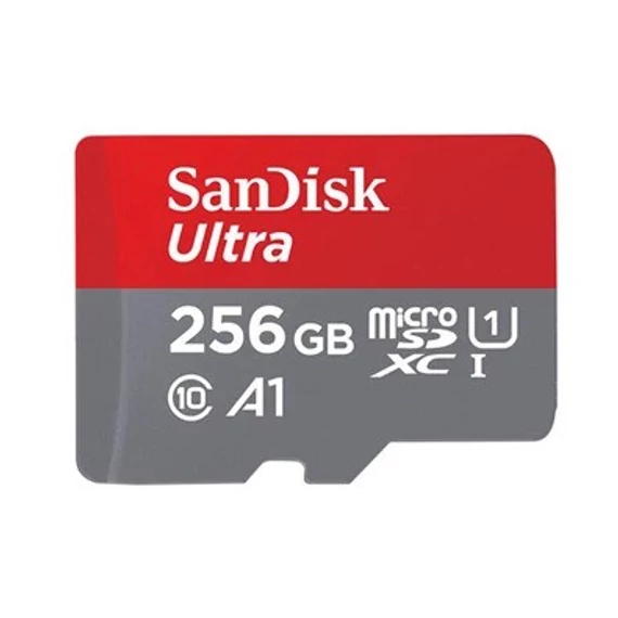 SANDISK 00215423 256GB SD micro